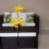 Conjunto Tulipa - Imagem 3